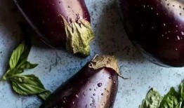 吃茄瓜对肾有害处吗视频,真相与误区