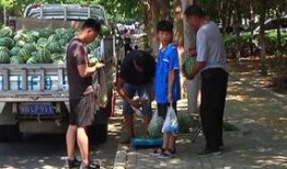 云南热心吃瓜群众视频大全,趣味横生的云南生活剪影