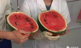 打吃瓜群众视频真实吗,真实还是虚构？