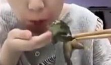 女主播吃茭瓜视频大全,趣味视频大盘点