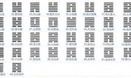 吃瓜占卜算卦解卦视频,趣味解卦视频带你走进神秘卦象世界