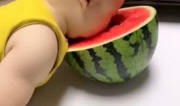 猪和小孩吃瓜的视频,童趣盎然画面萌