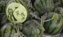 徐州二哥吃瓜视频大全,揭秘网络热点背后的故事