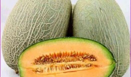 肠镜前可吃哈密瓜吗视频,哈密瓜可否食用揭秘
