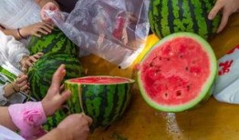 吃瓜只吃瓜尖的视频,揭秘吃瓜只吃尖的秘密