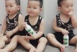 宝宝吃瓜儿歌视频大全集,瓜儿歌视频大全集精彩回顾