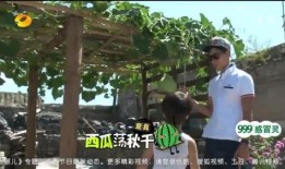 吃瓜荡秋千视频,揭秘网络短视频的趣味与魅力