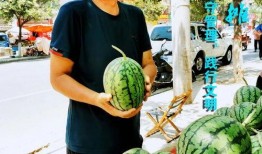 许昌最新吃瓜消息视频,热门事件幕后真相大曝光