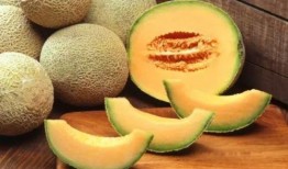 燕子吃哈密瓜视频播放全集,趣味视频全集回顾