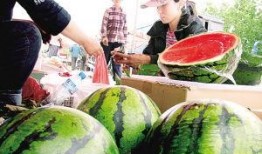 兰州七里河吃瓜视频最新,兰州美食新地标