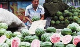 徐州二哥吃瓜视频大全,揭秘网络热点背后的故事