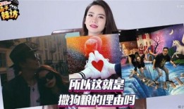 吃瓜群众戚薇李承铉视频,吃瓜群众见证明星夫妻日常