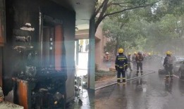 惠州东街吃瓜事件始末视频,一场引发热议的街头冲突始末