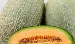 请你吃哈密瓜视频,一场视觉与味觉的双重享受