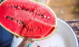 吃瓜群众4杀视频,惊心动魄的瓜界大战