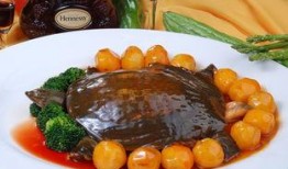 哈密瓜烧甲鱼可以吃吗视频,美味与营养的完美融合