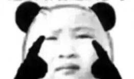 吃瓜凑热闹的狗狗的视频,凑热闹表情萌翻网友