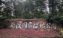 风景吃瓜视频,畅游视觉盛宴与美食诱惑