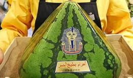 金字塔吃瓜视频,揭秘古埃及神秘文化背后的趣味故事