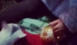 猫咪吃瓜现场视频,萌态百出，笑料连连