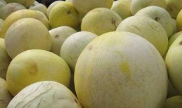 南方人吃白兰瓜好吗视频,风味独特，美味可口