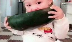 吃瓜小视频合集大全,合集大全带你一网打尽