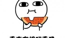 小学生抄袭吃瓜视频违法吗,法律边界与教育引导