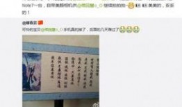 国内吃瓜国产网站大全视频,国产视频大全一网打尽