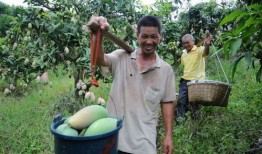 压砂瓜的皮可以吃吗视频,视频揭示惊人真相