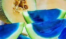 拍视频吃哈密瓜