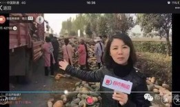 大姐吃瓜视频全集,揭秘娱乐圈幕后真相，笑料百出