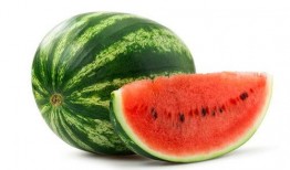 哈密瓜烧甲鱼可以吃吗视频,美味与营养的完美融合