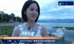 明星吃瓜中秋视频大全集,盘点娱乐圈独家视频大全