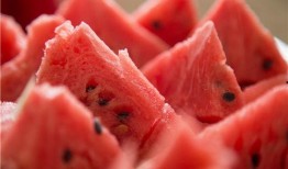 吃瓜三口之家视频,趣味横生的家庭日常