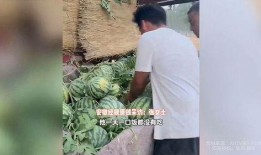 草坝镇吃瓜事件视频,一场引发热议的网络狂欢