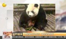 吃瓜哭的视频原版,情感共鸣的瞬间