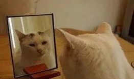 劝大家不要看吃瓜的视频,守护心灵净土