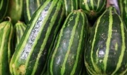 经常吃梢瓜好不好吃呢视频,常吃梢瓜，口感与营养双重享受