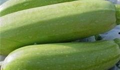 吃小瓜鸡蛋饺子视频