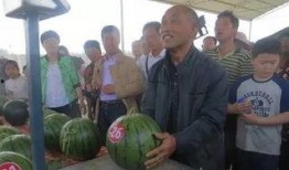 云南热心吃瓜群众视频大全,趣味横生的云南生活剪影