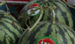 吃瓜一块钱视频在线观看,在线观看背后的故事