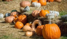 峡谷吃瓜群众值钱吗视频,揭秘网络直播中的价值与争议