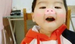 猪和小孩吃瓜的视频,童趣盎然画面萌