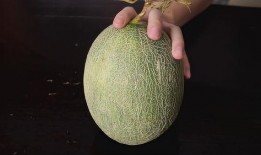 新疆小伙吃哈密瓜视频