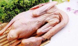 吃瓜鹅的视频完整版,视频完整版深度解析，带你领略幕后真相