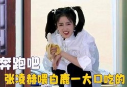 圈内吃瓜白鹿张凌赫视频,吃瓜群众直呼“太甜了！”