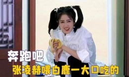 圈内吃瓜白鹿张凌赫视频,吃瓜群众直呼“太甜了！”