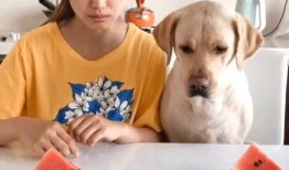 全网最火的吃瓜视频大全,揭秘热门事件背后的真相与笑料