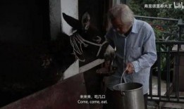 吞金兽吃瓜视频,揭秘神秘生物的趣味生活