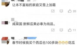 博主直播吃瓜视频,博主现场品尝瓜果，趣味横生吃瓜瞬间